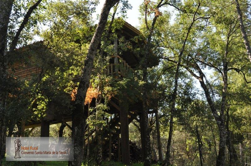 Habitación Nido en los Árboles 3 - Cabañas en Árboles - Turismo rural en  alojamientos insólitos